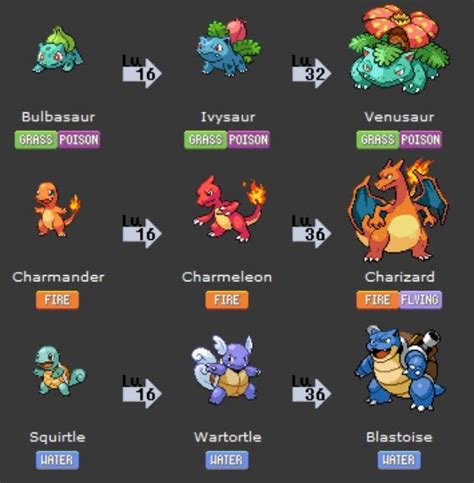 charmander lv 10|Charmander evolution stats.